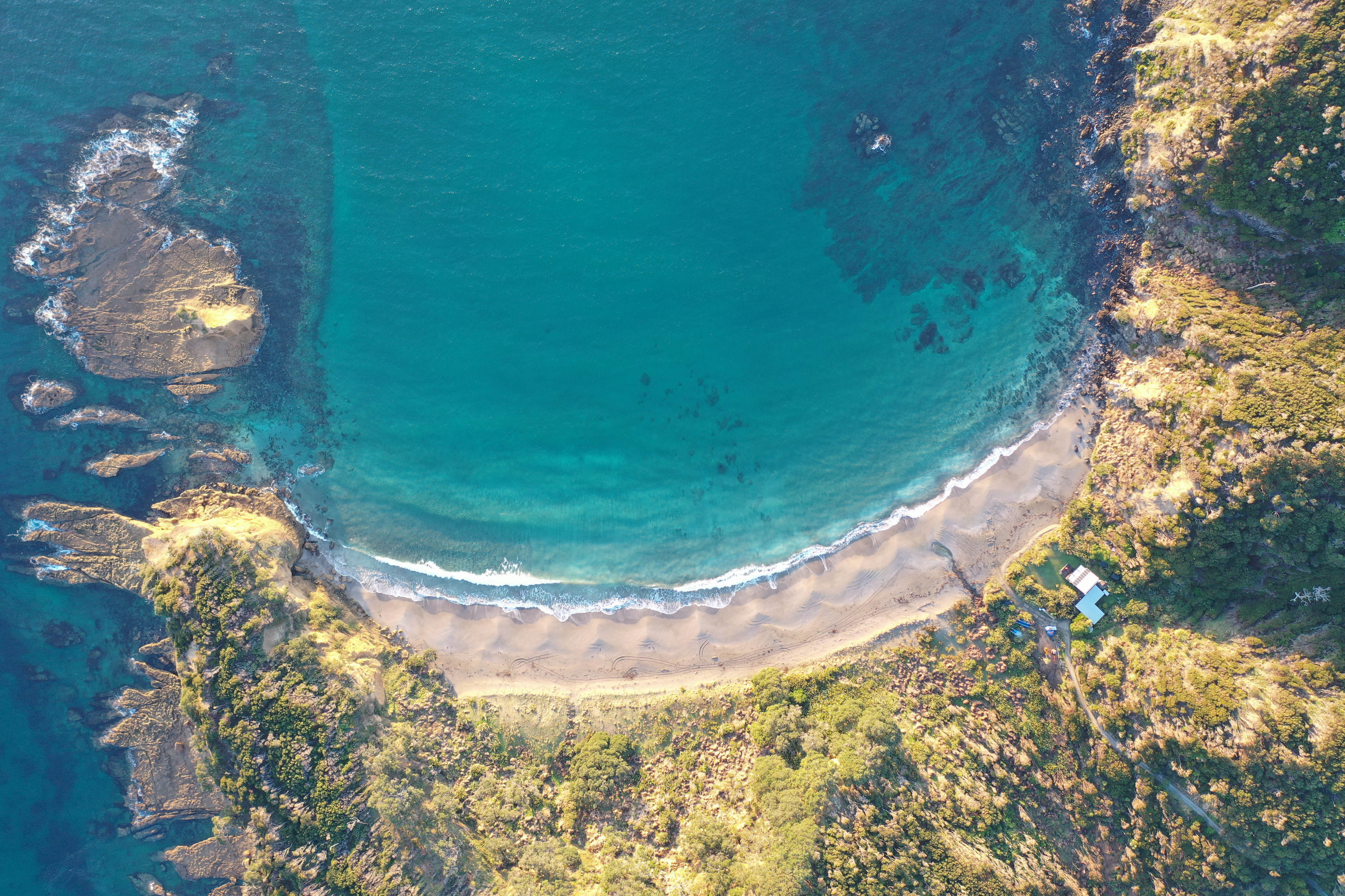 Multispectral drone map of Kawau Island used to identify and track invasive plant species